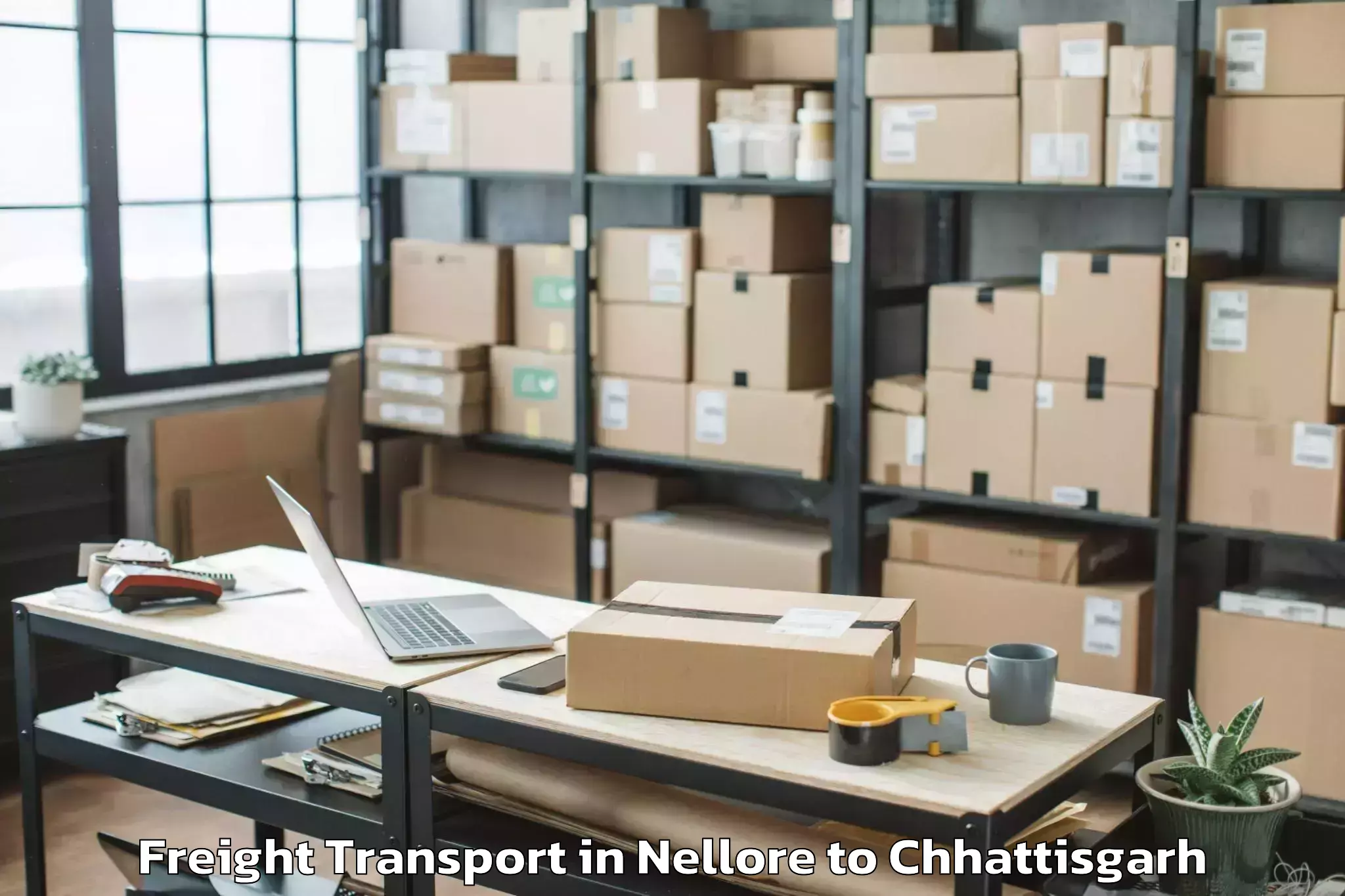 Discover Nellore to Bhatgaon 1 Freight Transport